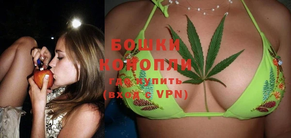 трава Белокуриха