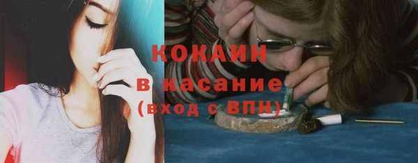 трава Белокуриха