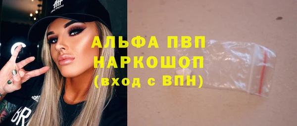 трава Белокуриха