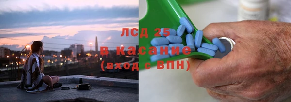трава Белокуриха