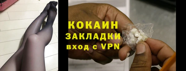трава Белокуриха