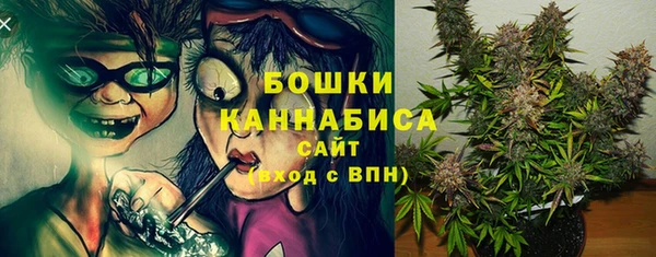 трава Белокуриха