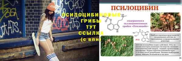 твердый Белоозёрский